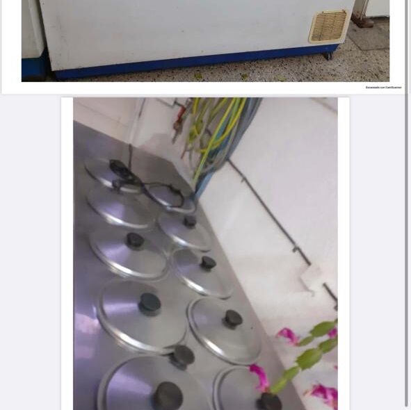 HELADERIA FABRICACION Y DESPACHO