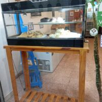 DIETETICA ALIMENTOS VEGANOS