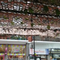 SHAWARMA EN BARRIO NORTE