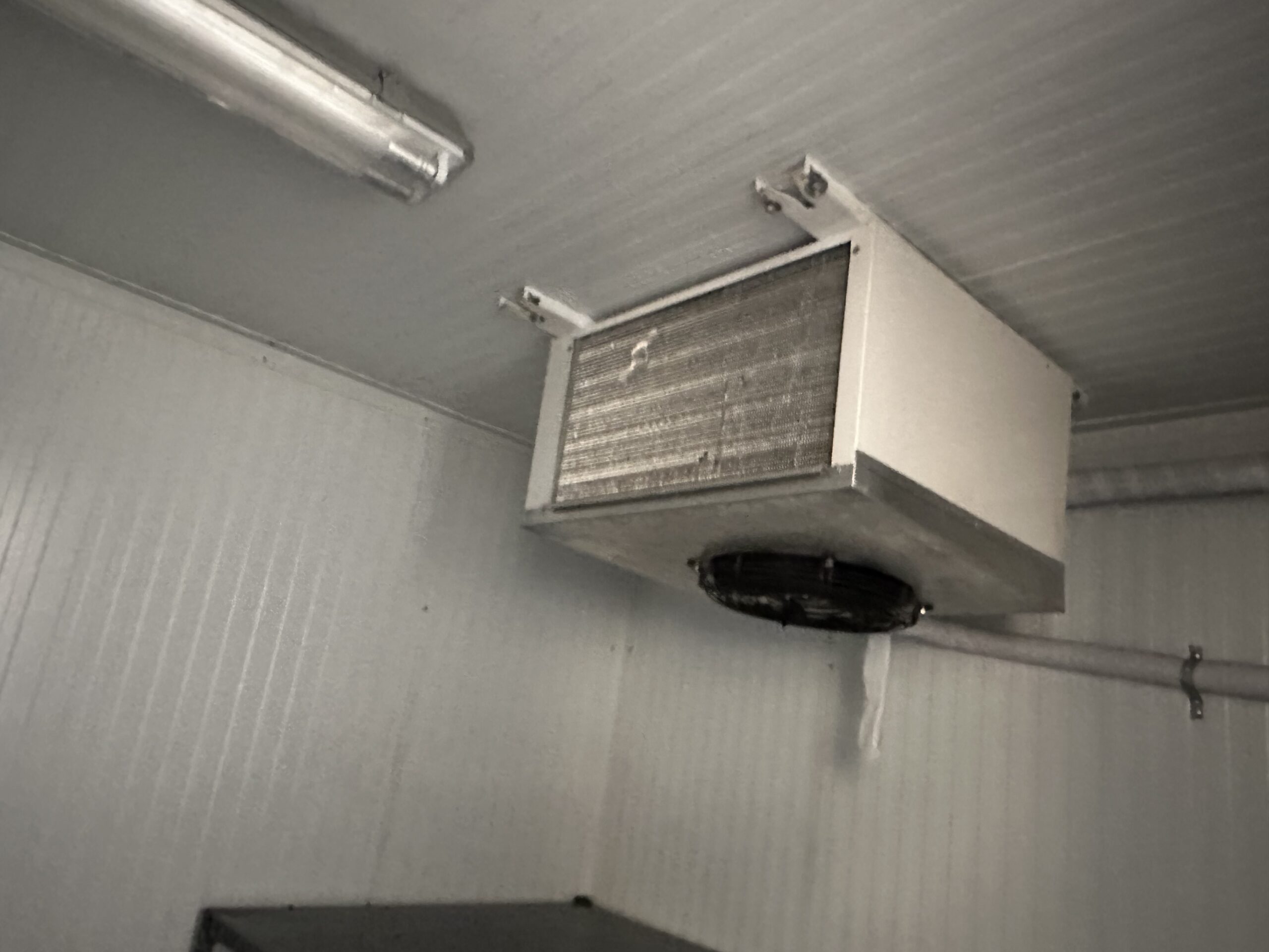 CERVECERÍA HAMBURGUESERÍA