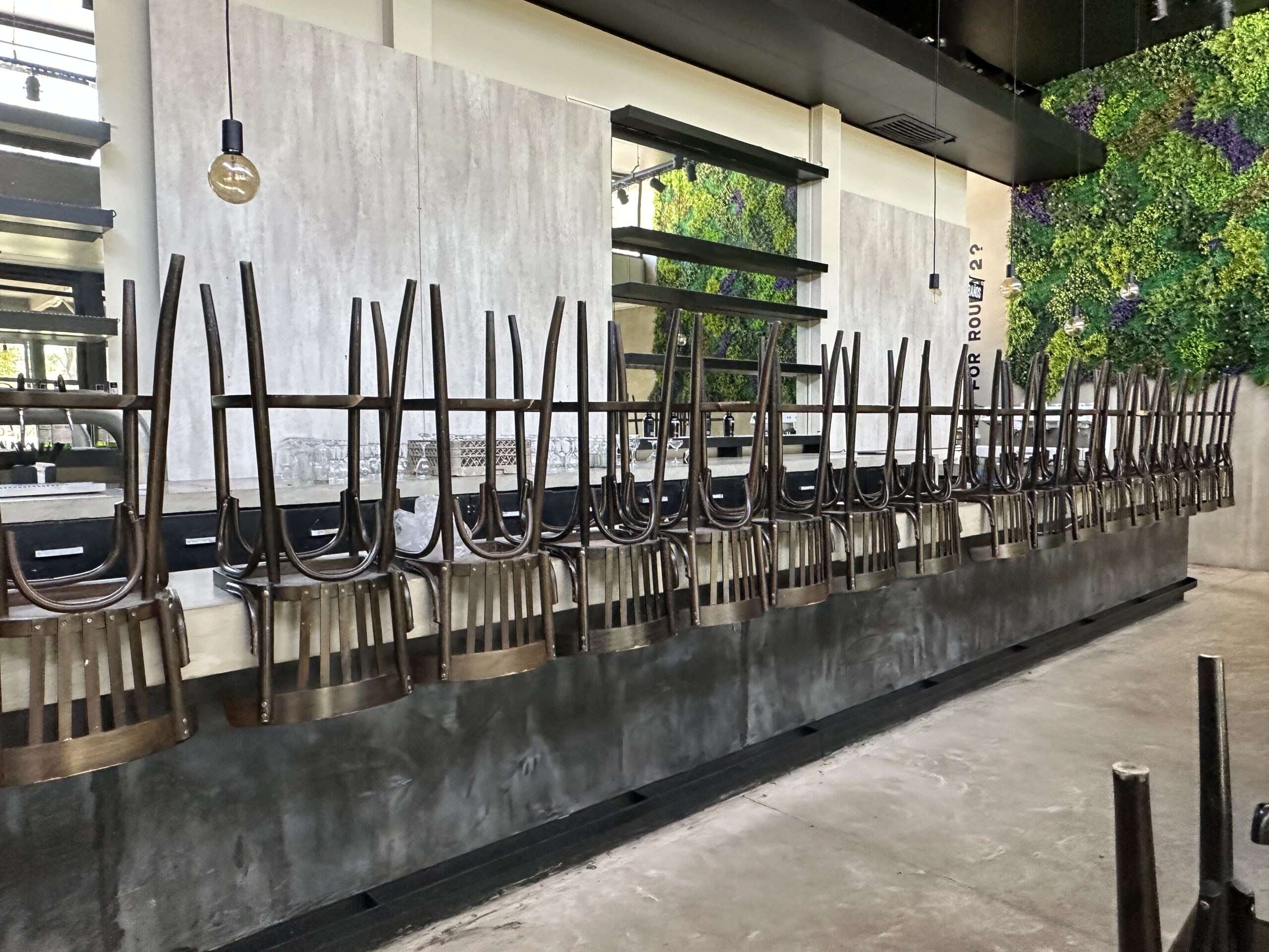 CERVECERÍA HAMBURGUESERÍA