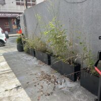 CERVECERIA RESTO BAR