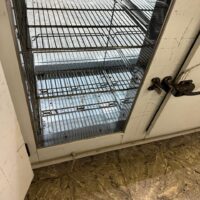 PASTELERIA FABRICA DE SANDWICHS DE MIGA