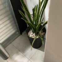 CARNICERÍA GRANJA BOUTIQUE