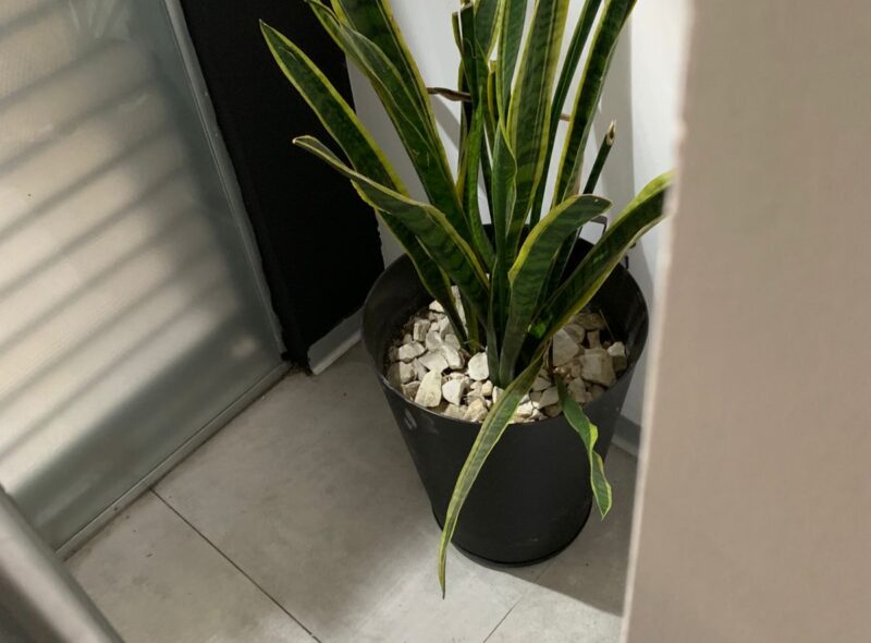 CARNICERÍA GRANJA BOUTIQUE