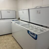 LOCAL GASTRONOMICO CONGELADOS