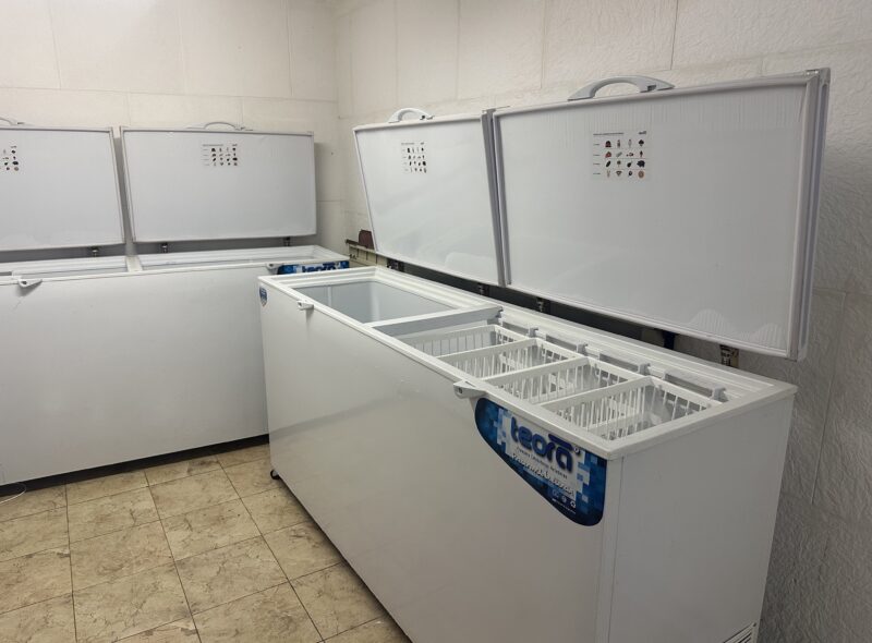 LOCAL GASTRONOMICO CONGELADOS