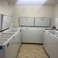 LOCAL GASTRONOMICO CONGELADOS