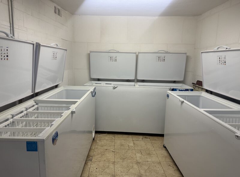 LOCAL GASTRONOMICO CONGELADOS