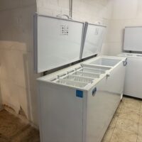 LOCAL GASTRONOMICO CONGELADOS