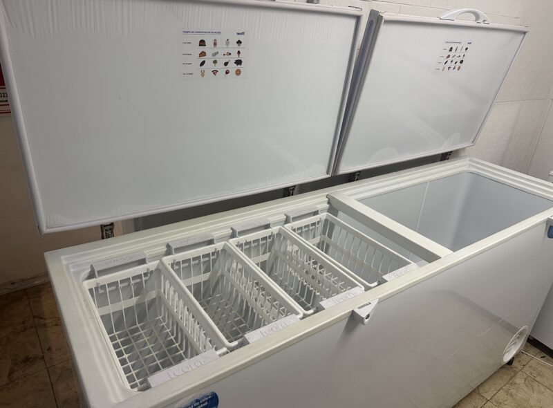 LOCAL GASTRONOMICO CONGELADOS