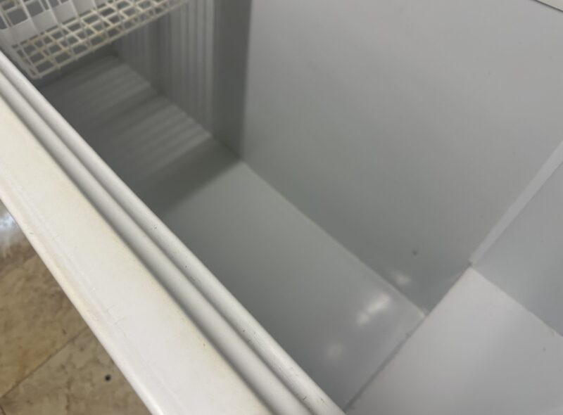 LOCAL GASTRONOMICO CONGELADOS