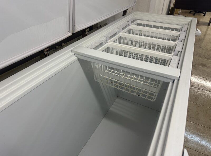 LOCAL GASTRONOMICO CONGELADOS