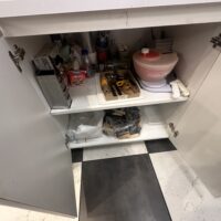 LOCAL GASTRONOMICO CONGELADOS