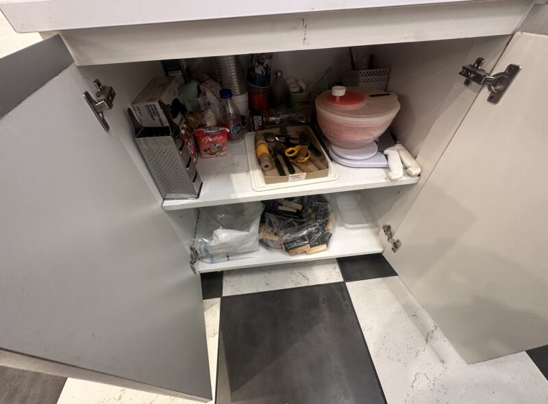 LOCAL GASTRONOMICO CONGELADOS