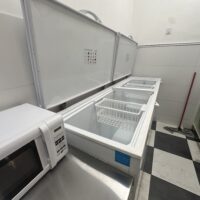 LOCAL GASTRONOMICO CONGELADOS