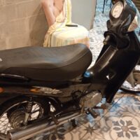 AUTOMOTORES